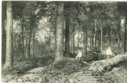 Delcampe - Mont-de-l'Enclus - Kluisbergen