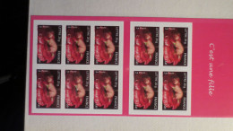 Delcampe - CARNET 10 TIMBRES NEUFS. C'EST UNE FILLE 20 G. Valeur Faciale 13.90 Euros - Sonstige & Ohne Zuordnung