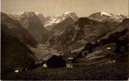 Delcampe - Braunwald - Andere & Zonder Classificatie
