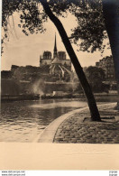 Delcampe - Photographe : ALBERT MONIER  PARIS  Notre-Dame, Vue Du Quai D'Orléans - Monier