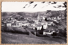Delcampe - 20680 /  ◉ HASPARREN 64-Euskadi Vue Générale Entrée Village 1954 Van Eyk Rouleau N°3 - Pays Basque Basses Pyrenees - Hasparren