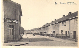 Delcampe - ZOTTEGEM-SOTTEGEM "FOTOKAART WELZIJNSTRAAT "UITG.VERMEIRE VINCKE - Zottegem