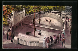 Delcampe - AK Bern, Bärengraben Mit Besuchern - Sonstige & Ohne Zuordnung