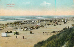 Delcampe - Zandvoort Strandgezicht - Zandvoort