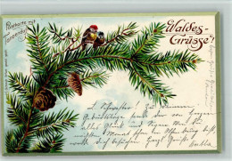 Delcampe - 13038924 - Duftkarten Tannenduft, Waldesgruesse, Voegel, - Altri & Non Classificati