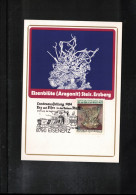 Delcampe - Austria 1984 Minerals Maximum Card - Mineralien