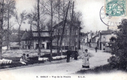 Delcampe - 77 - Seine Et Marne - ESBLY - Vue De La Prairie - Esbly