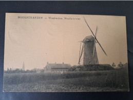 Delcampe - Hoogstraeten Windmolen 1926 - Hoogstraten