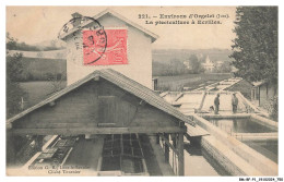 Delcampe - BM-BFP1-0376-39 - ENVIRONS D'ORGELET - La Pisciculture A Ecrilles - Orgelet