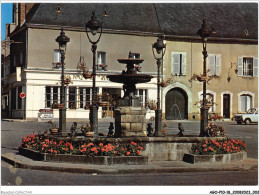 Delcampe - AGOP10-0830-18 - HENRICHEMONT - Cher - Fontaine De La Place Henry IV - Henrichemont