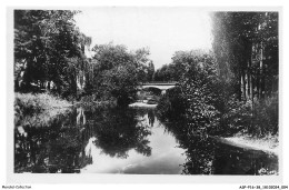 Delcampe - ASPP16-0809-38 - PONT-DE-CHERUY - Le Pont Et La Bourbre - Pont-de-Chéruy