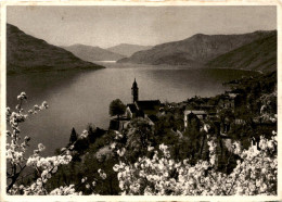 Delcampe - Ronco Am Langensee * 5. 9. 1936 - Ronco Sopra Ascona