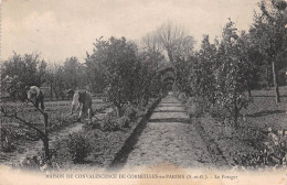 Delcampe - 95-CORMEILLES EN PARISIS-N°T2588-F/0253 - Cormeilles En Parisis