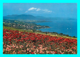 Delcampe - A857 / 109 Suisse Lac De Neuchatel Et Chaumont - Neuchâtel