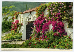 Delcampe - A Typical Scene, Canary Islands (lt14) - Sonstige & Ohne Zuordnung