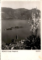 Delcampe - Ronco (Lago Maggiore) (3845/A) * 4. 10. 1950 - Ronco Sopra Ascona