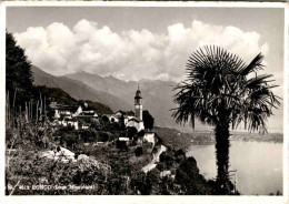 Delcampe - Ronco, Lago Maggiore (4013) * 16. 8. 1964 - Ronco Sopra Ascona