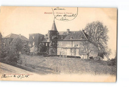 Delcampe - MORESTEL - Château De Passins - Très Bon état - Morestel