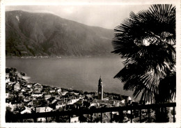 Delcampe - Ascona, Panorama (2395) * 22. 5. 1954 - Ascona