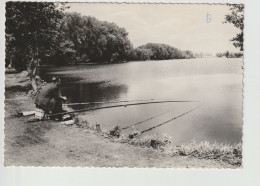 Delcampe - Overmere Donkmeer ( Pêcheur - Visser ) - Berlare