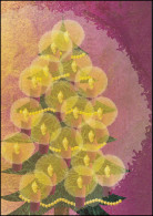 Delcampe - 2037 Weihnachtsbräuche 2007 Viererblock, PTT-Grußkarte Zum Jahreswechsel - Maximumkarten (MC)