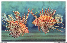 Delcampe - APQP16-0960-MONACO - AQUARIUM DE MONACO - Pterois Volitans - Oceanographic Museum