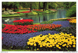 Delcampe - AOTP3-0202-PAYS-BAS - KEUKENHOF - La Hollande En Parure Des Fleurs - Lisse