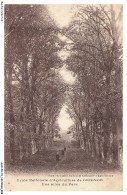 Delcampe - AUOP8-0796-78 - école Nationale D'agriculture De GRIGNON - Une Allée Du Parc - Grignon