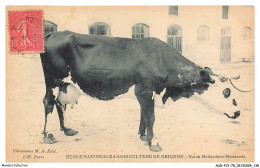 Delcampe - AUDP12-0843-78 - école Nationale D'agriculture De GRIGNON - Norah Hollandaise-normande - Vache - Grignon