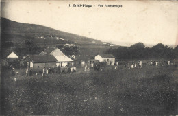 Delcampe - ( 10320 )  Criel Plage   *** - Criel Sur Mer