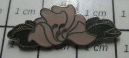 Delcampe - 3519 Pin's Pins / Beau Et Rare / PARFUMS / FLEUR ROSE PARFUM ANAÏS ANAÏS - Perfume