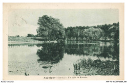 Delcampe - ANTP2-0142-89 - APPOIGNY - Un Coin De Raverie - Appoigny