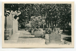 Delcampe - LA TRONCHE - Vieux Logis - La Tronche