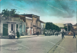 Delcampe - T264 Cartolina Laureana Di Borrello Viale Margherita Bella Animazione Reggio Cal - Reggio Calabria