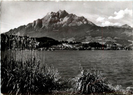 Delcampe - Tribschen Mit Pilatus - Sonstige & Ohne Zuordnung