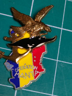 Delcampe - INSIGNE OPERATION MANTA, OPEX TCHAD - Esercito