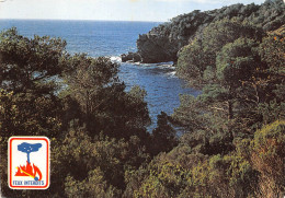 Delcampe - 83 Porquerolles Une Calanque 38 (scan Recto Verso)KEVREN0732 - Porquerolles