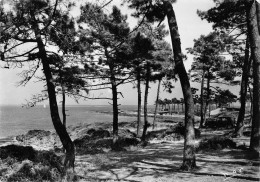 Delcampe - 83 SAINTE MAXIME Sur MER Pointe Des Sardinaux 49 (scan Recto Verso)KEVREN0729 - Sainte-Maxime