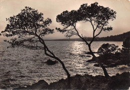Delcampe - 83  Le Dramont Saint-Raphaël Coucher De Soleil 23 (scan Recto Verso)KEVREN0734 - Saint-Raphaël