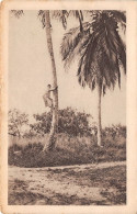 Delcampe - GABON A L'assaut D'un Cocotier (scan Recto-verso) OO 0941 - Gabun