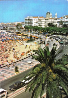 Delcampe - 83  -  Var -  SAINT RAPHAEL -  La Plage - Saint-Raphaël