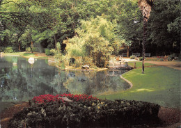 Delcampe - 85-LUCON-N°C4039-D/0235 - Lucon