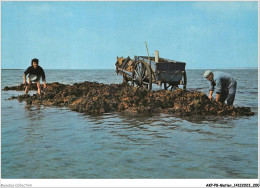 Delcampe - AKPP8-0707-METIER - GOUVILLE SUR MER - RAMASSAGE DE LICHENS - Landbouwers