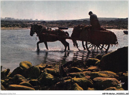 Delcampe - AKPP8-0687-METIER - TRAVAIL DE LA MER EN BRETAGNE - RAMASSAGE DU GOEMON - Landbouwers