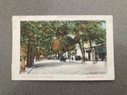 Delcampe - The Promenade Cheltenham Carte Postale Postcard - Cheltenham