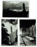 Delcampe - 3x Leuven/Louvain. Abdij Keizersberg. Abbaye Du Mont César. Lot Van 3 Fotokaarten. - Leuven