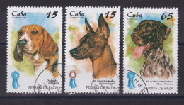 Delcampe - Timbres Oblitérés Cuba Année 1998 N° 3709/3710/3711  Thème Chiens Réf 9025 - Gebraucht