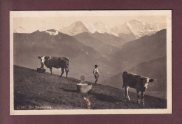 Delcampe - Bei BEATENBERG - Kühe - Beatenberg