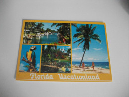 Delcampe - PINS UPS GIOVANI DONNE  IN COSTUME SPIAGGIA IN FLORIDA - Pin-Ups