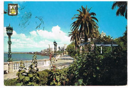 Delcampe - ESPAGNE  CADIZ ALAMEDA MARQUES DE COMILLAS - Cádiz